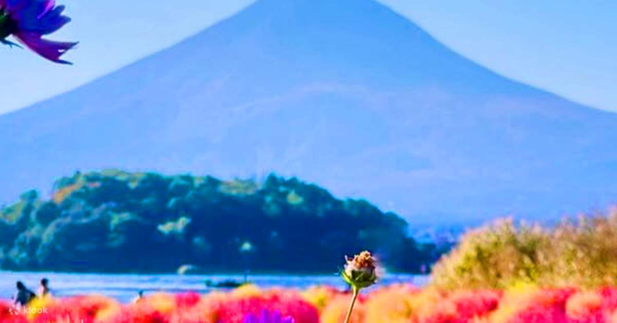 Instagram-Worthy Mt. Fuji & Kawaguchiko Four Seasons Flower Tour
